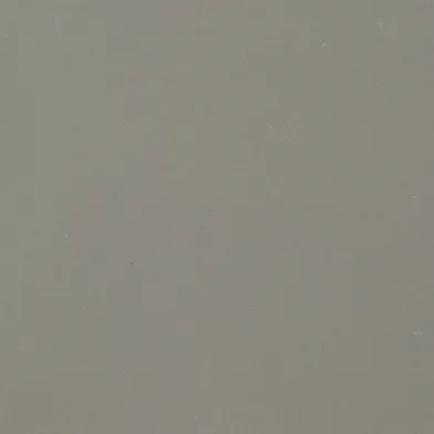 Unicolor Grigio Cenere naturale