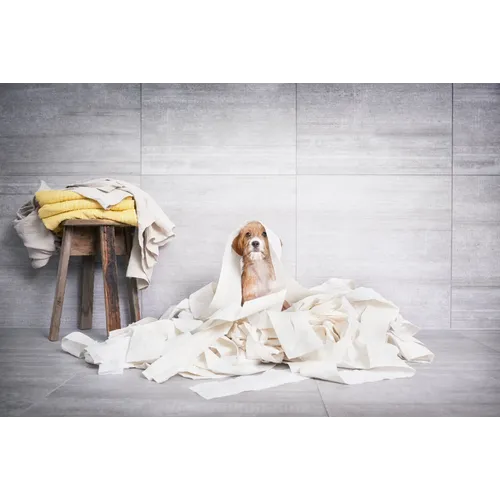 Cem Cassero Grigio grå