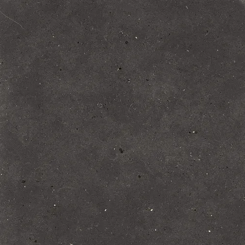 Fjord Black Semipolerad