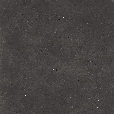 Fjord Black Semipolerad