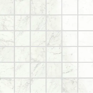 Marmi Cararra Levigato Mosaik Rect