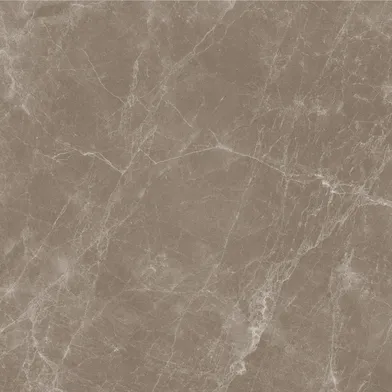 Marmoker Jolie Lucido