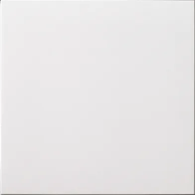 Unicolor Bianco Assoluto polerad