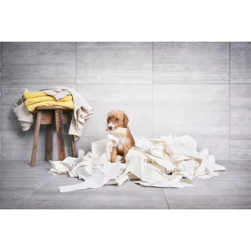 Cem Cassero Grigio grå