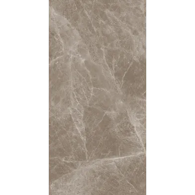 Marmoker Jolie Lucido