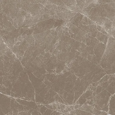 Marmoker Jolie Lucido