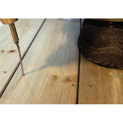 Trallex bandad spikskruv A2 3,2x75 mm, 1950 st/ask