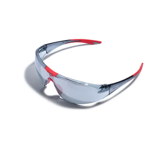 Skyddsglasögon Zekler 31 Silver