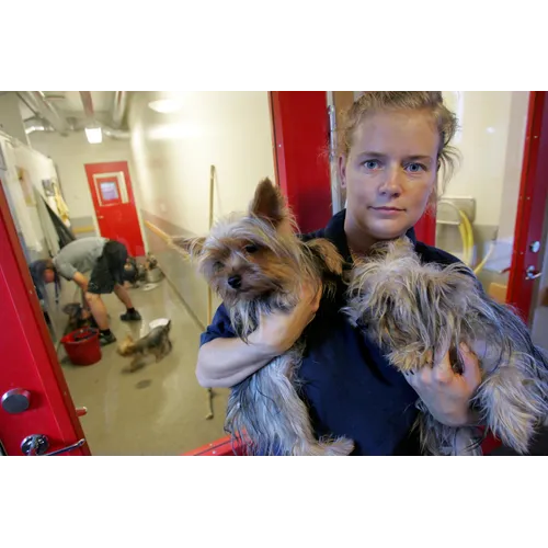 Cembrit Multi Force 12 mm 12x900x2550 mm