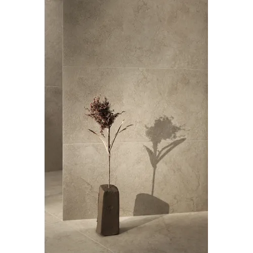 Dinamika Pietra Borgogna