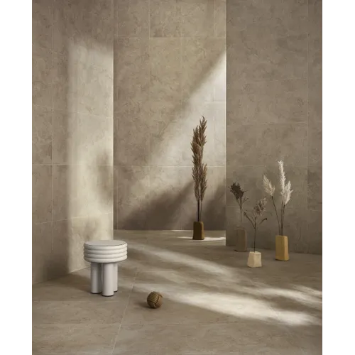 Dinamika Pietra Borgogna