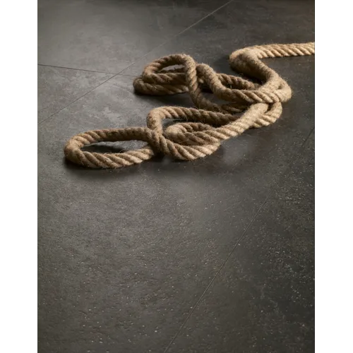 Dinamika Pietra Pece