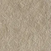 Dinamika Pietra Borgogna