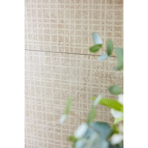 Dinamika Pietra Borgogna