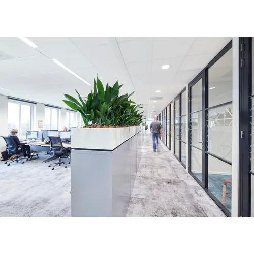 Akustiktak Gedina T24 NE 600x600x15 mm