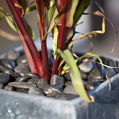 Dekorsten 20-40 mm 15 kg, Svart