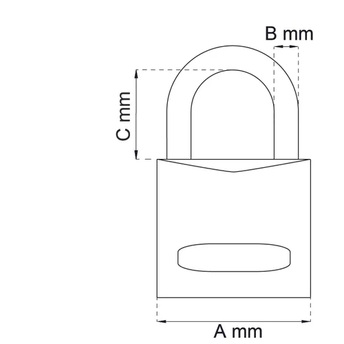 Hänglås ABUS 54 Titalium 30x5 mm, CC 12 mm