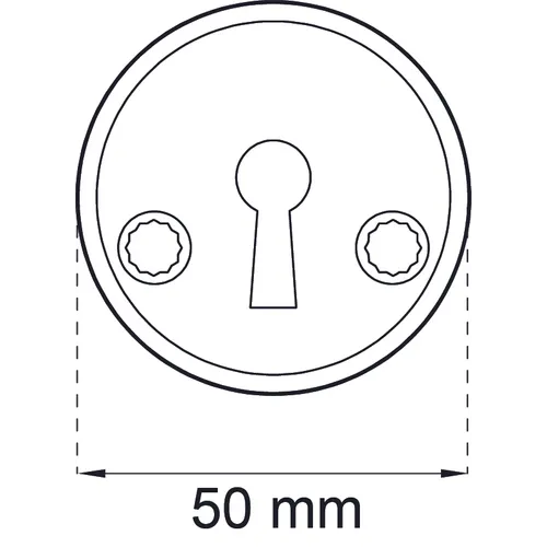 Nyckelskylt 2991 Clean Borstad