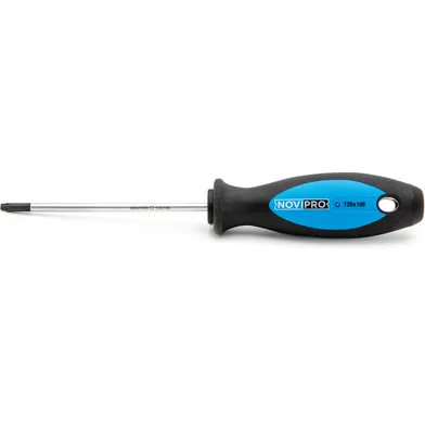 Skruvmejsel TX T20, 100 mm