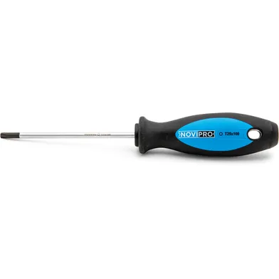 Skruvmejsel TX T25, 100 mm