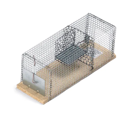 Burfälla för råtta