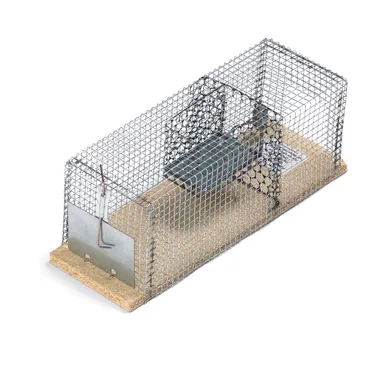 Burfälla för råtta