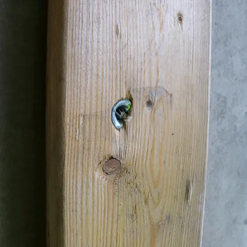 Expanderspik C1 6x60 mm, 100 st/frp