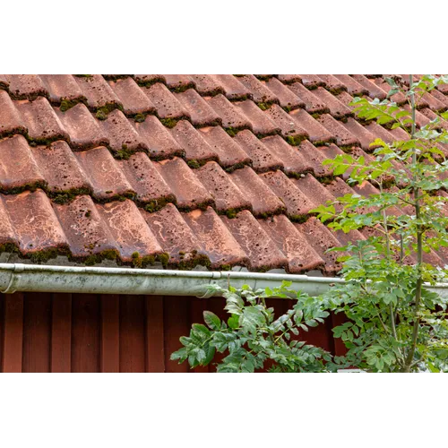 Grön-Fri direkt spray, 500 ml 