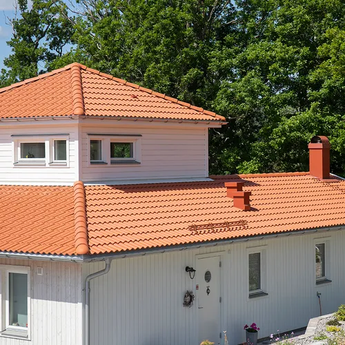 Takpanna Palema Benderit, Tegelröd