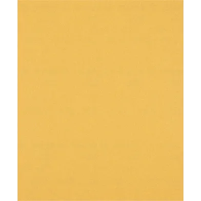 Slipark 230x280 mm K120