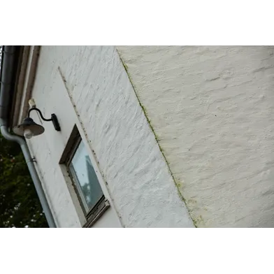 Grön-Fri Proffs 5 l