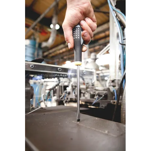 Skruvmejsel Spår Ergo 8x150 mm