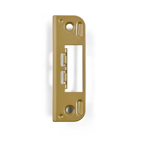 Slutbleck 6510 Guldepoxy