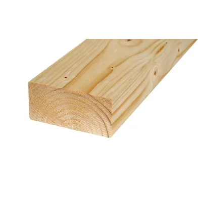 Regel 45x220 mm C24 4200 mm