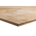 Takplywood Mouldguard